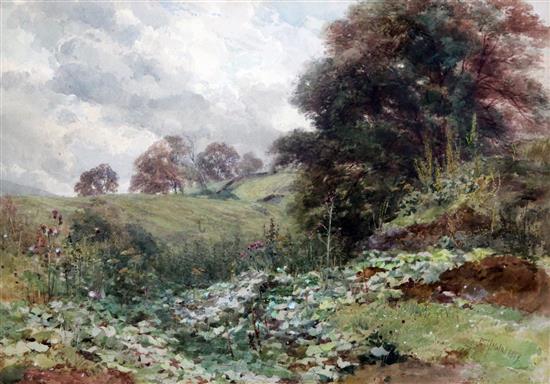 Paul J Naftel RWS (1817-1891) A Weedy Bank, 14 x 20.5in.